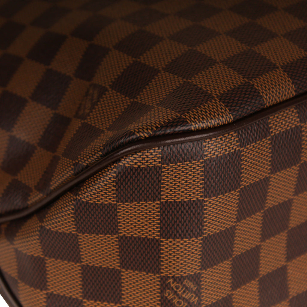 Louis Vuitton Delightful MM - Damier Ebene