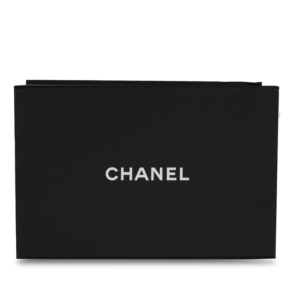 Chanel Classic Flap Bag - Mini Rectangular Top Handle