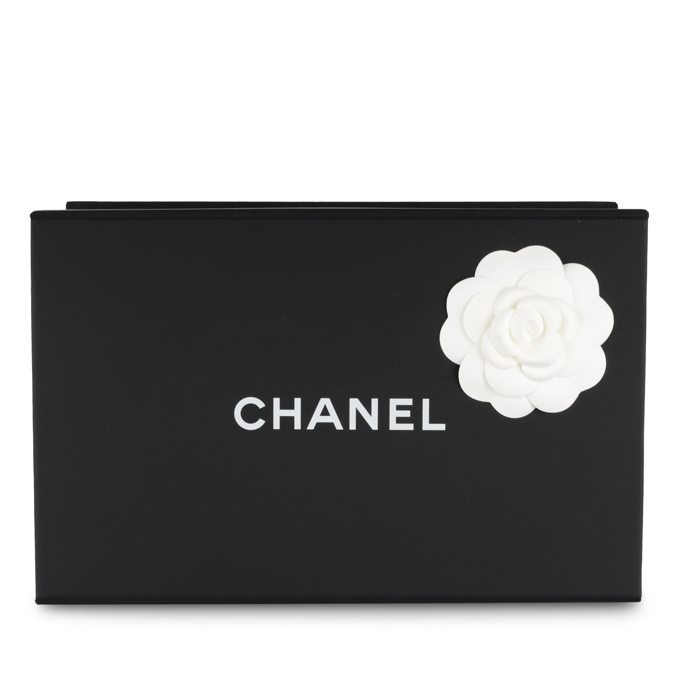 Classic Flap Bag - Mini Rectangular Top Handle
