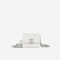 Coco Clutch on Chain