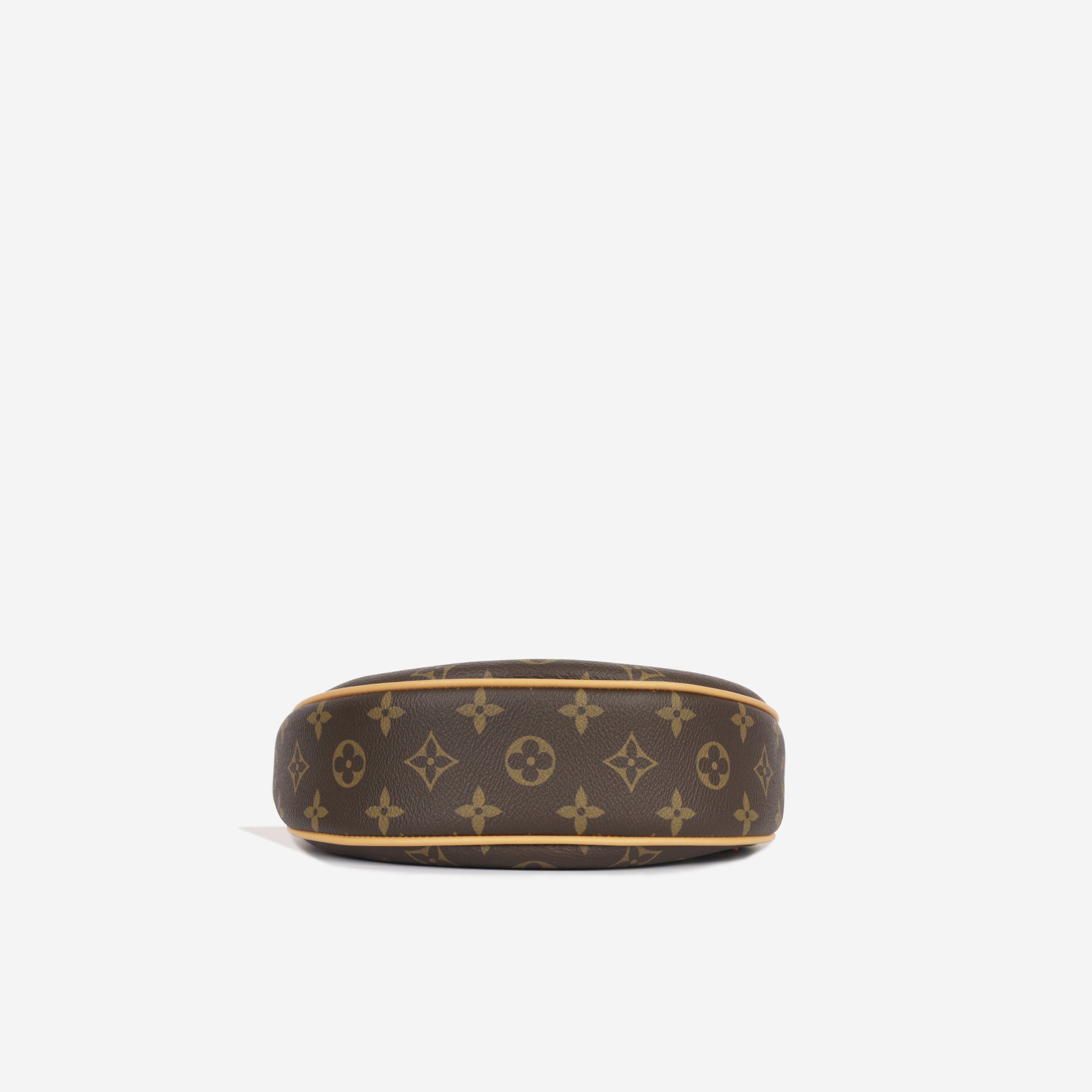 Louis Vuitton Loop Bag