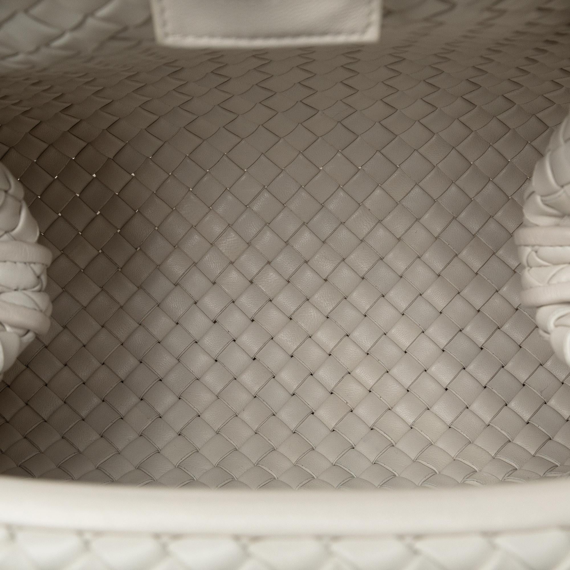 Bottega Veneta Intrecciato The Pouch (SHG-Ua6v0u)