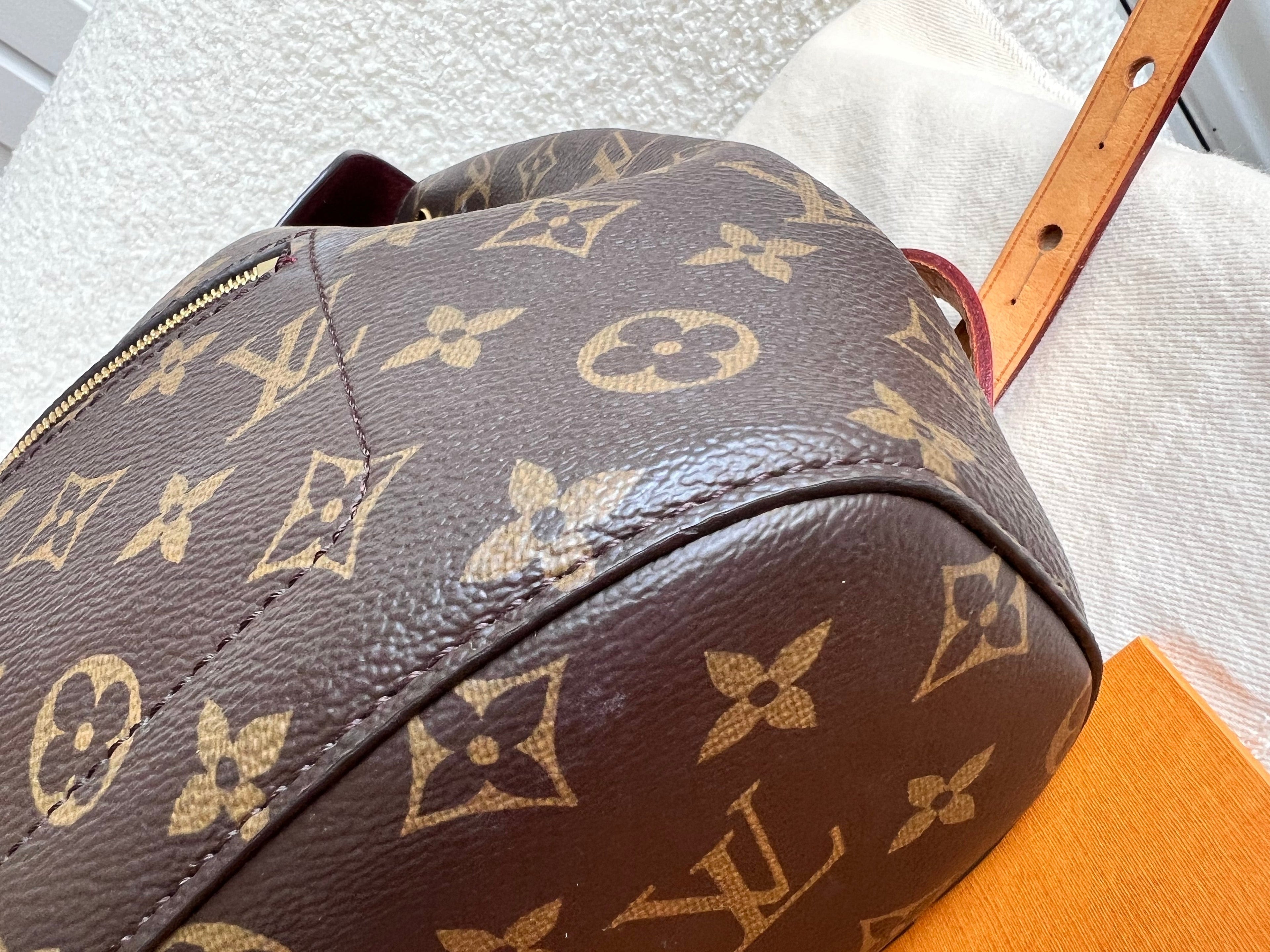 Louis Vuitton Montsouris PM Backpack (£1980)