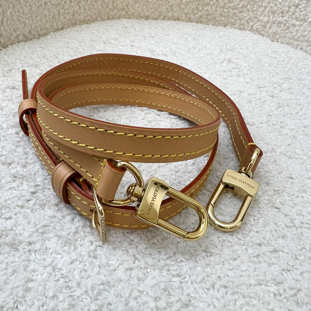 LV Nano Speedy in Monogram Canvas and GHW