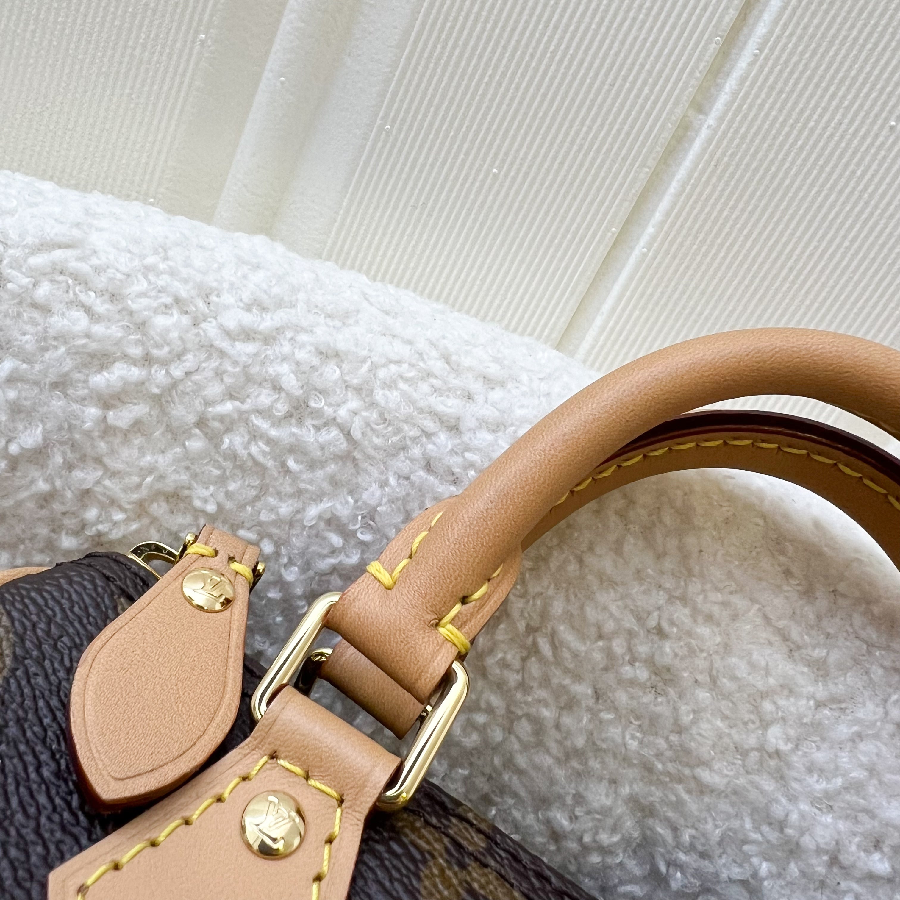 LV Nano Speedy in Monogram Canvas and GHW