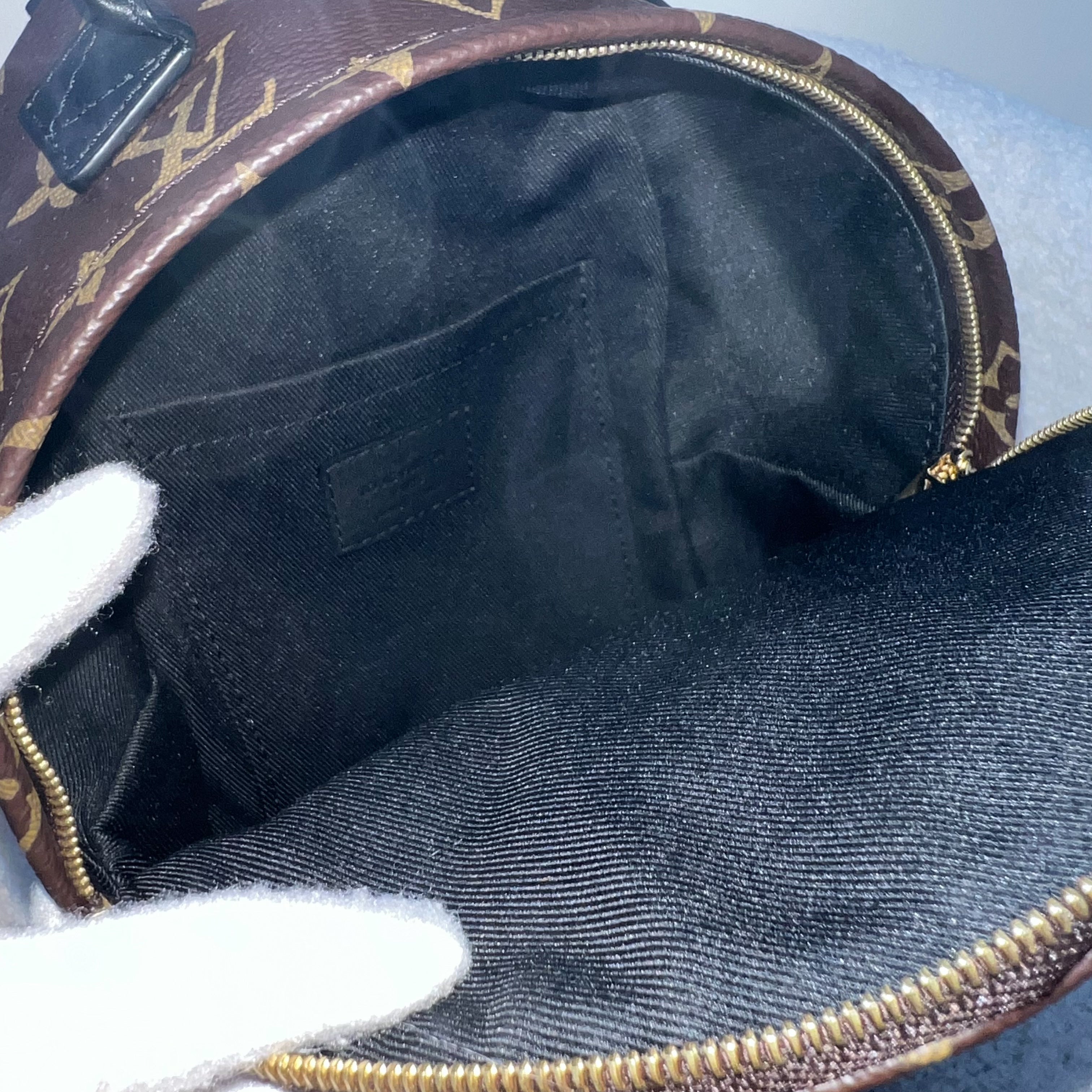 LV Palm Springs Mini Backpack in Monogram Canvas and GHW