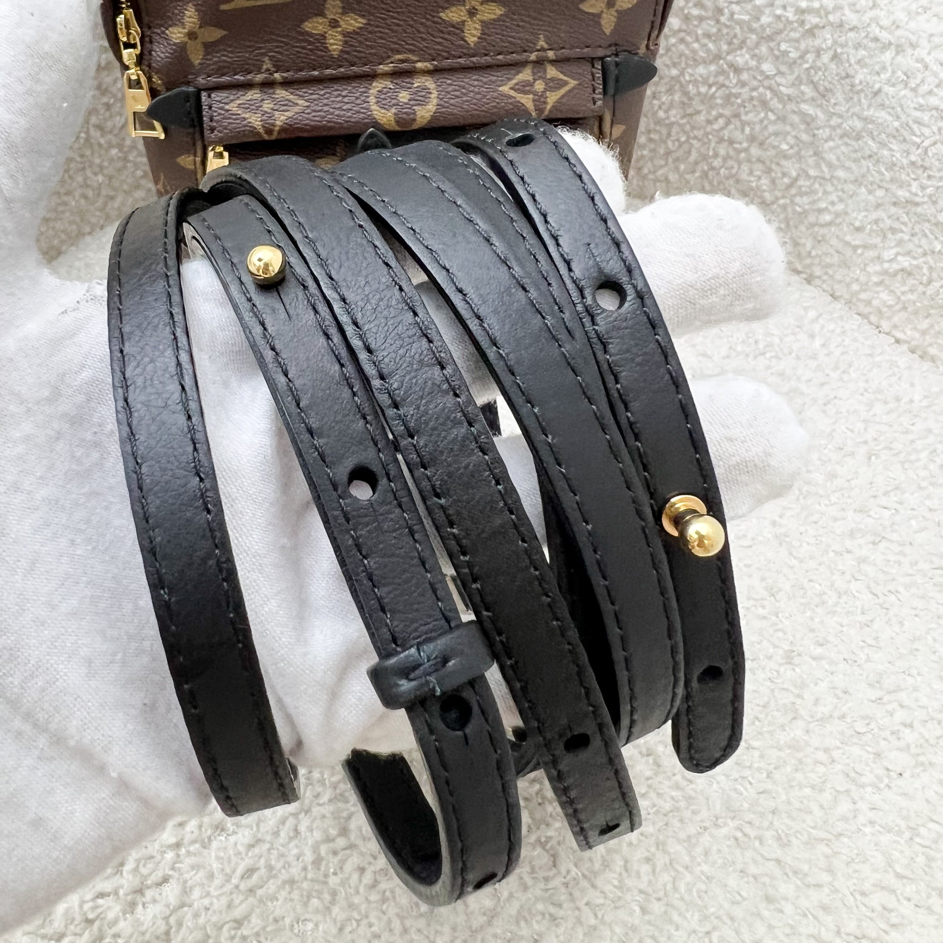 LV Palm Springs Mini Backpack in Monogram Canvas and GHW