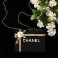 Chanel Plexiglass Gift Box MinaudiÃ¨re