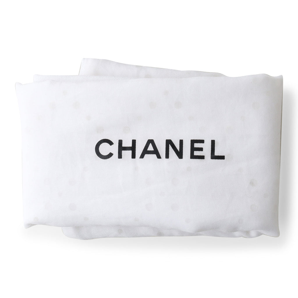 Chanel Python Pleated Flap Bag