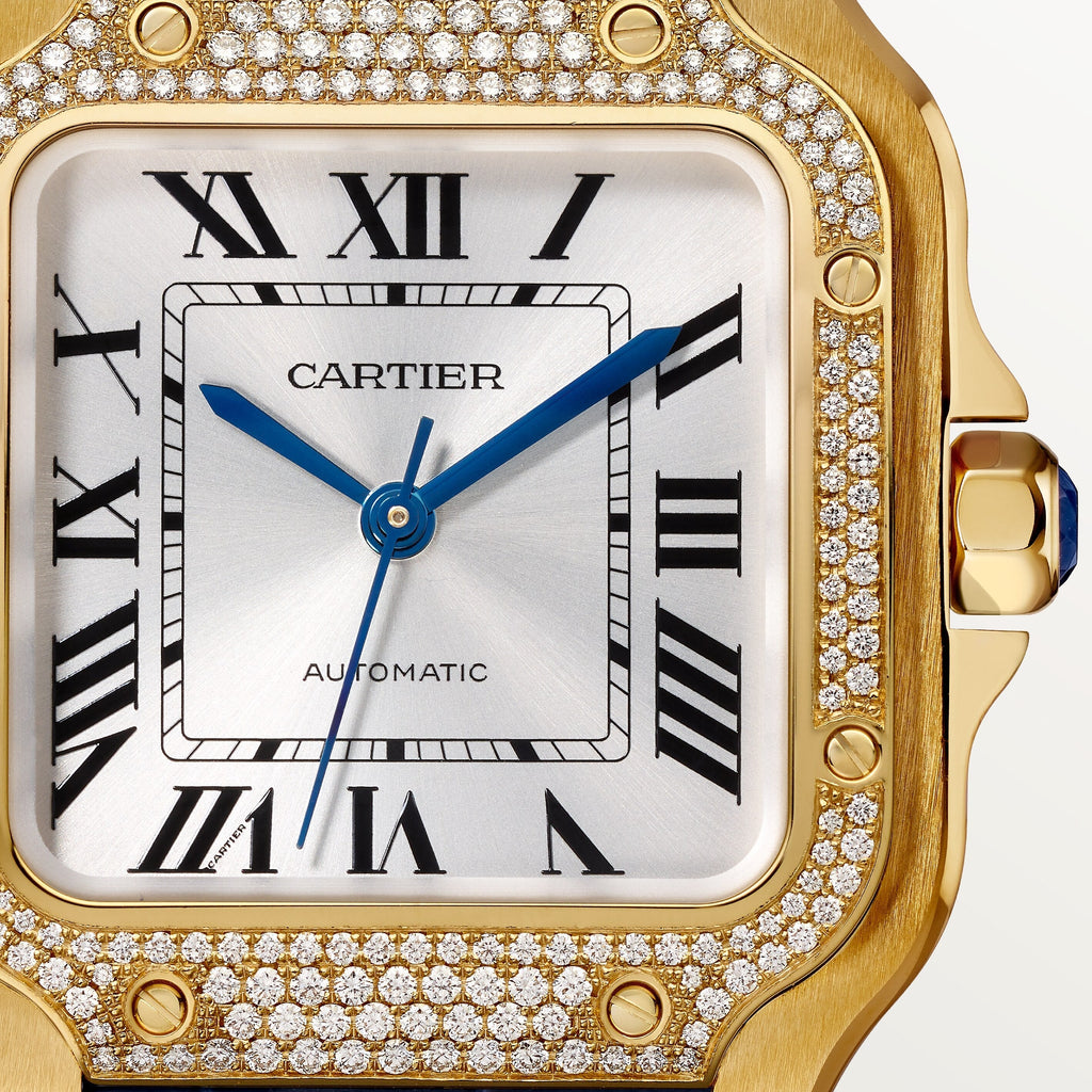 Cartier Santos De Cartier WJSA0013