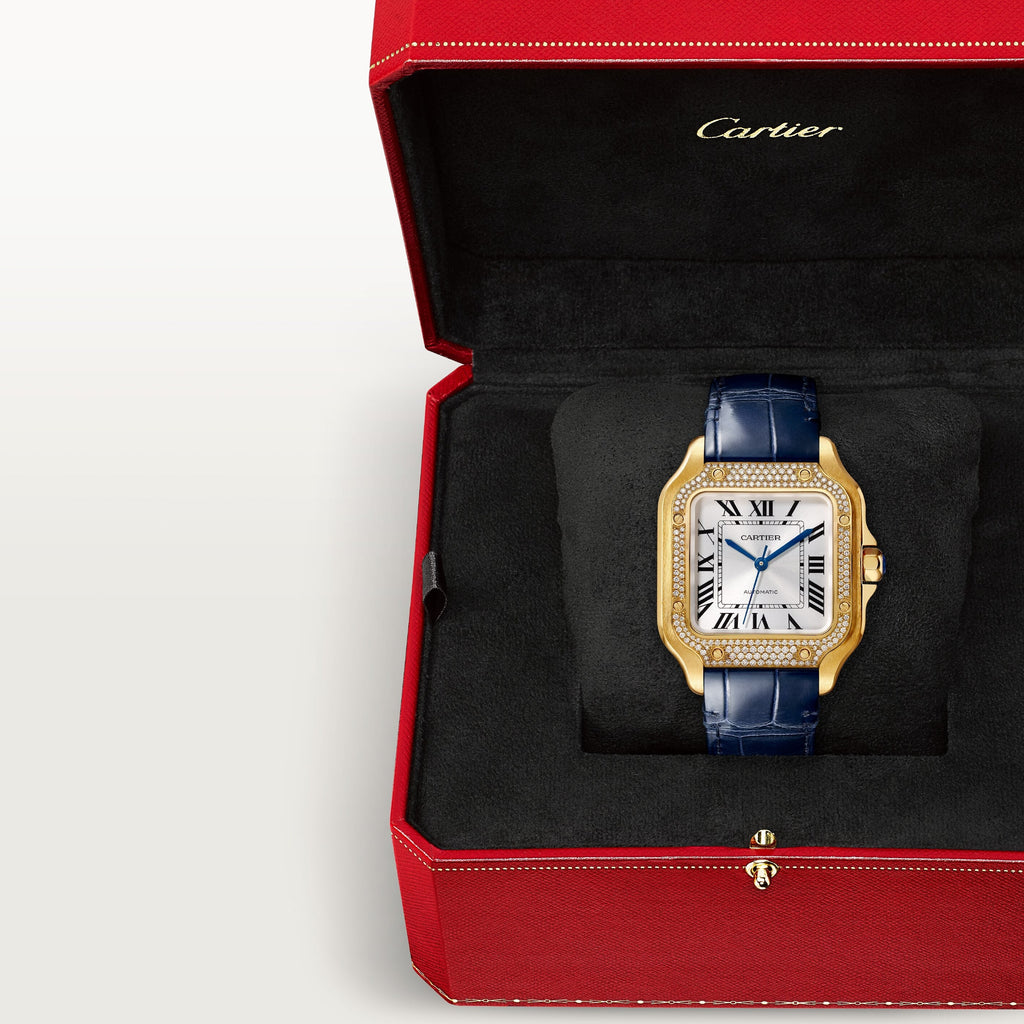 Cartier Santos De Cartier WJSA0013