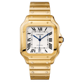 Cartier Santos de Cartier WGSA0029