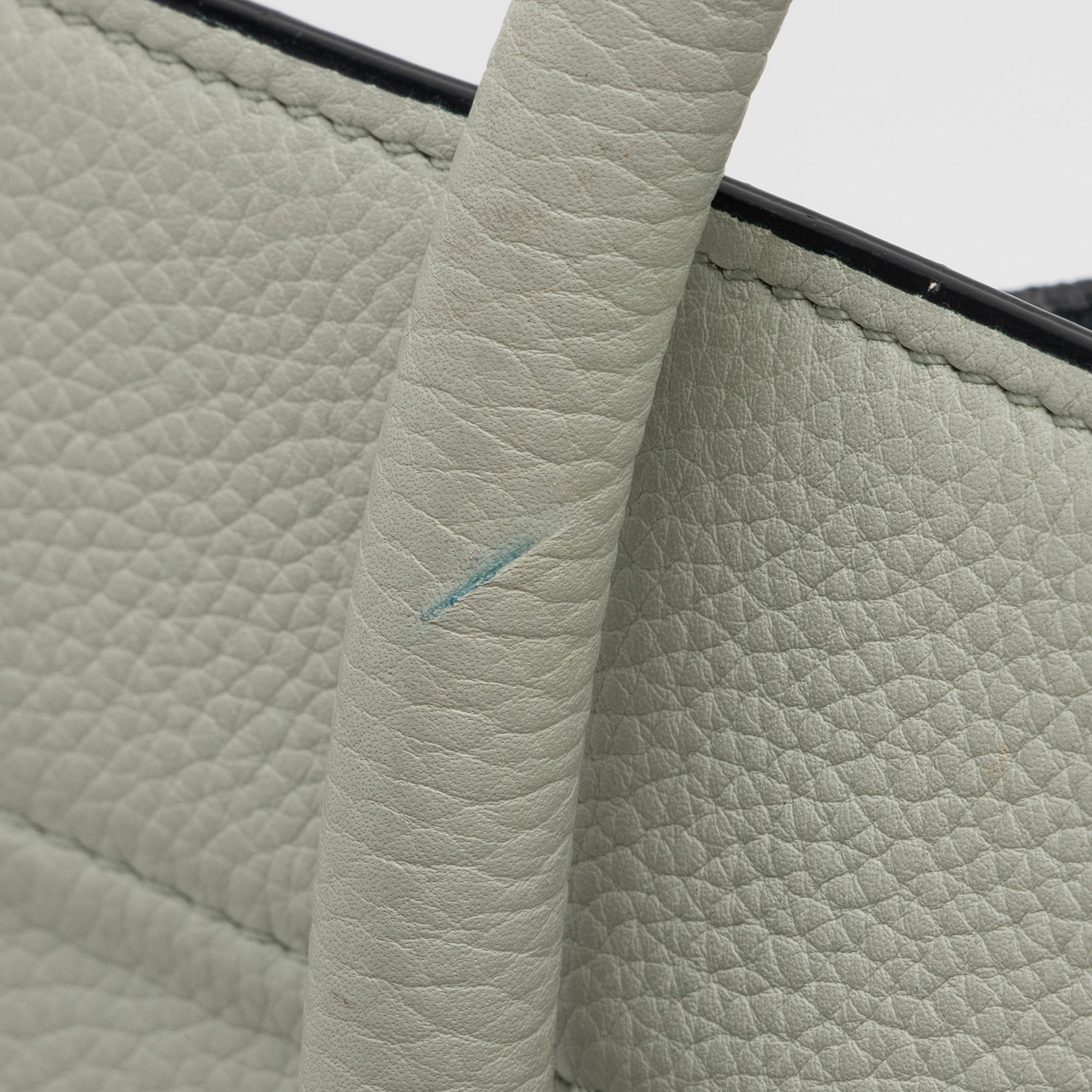 Celine Calfskin Phantom Luggage Tote (SHF-23576)
