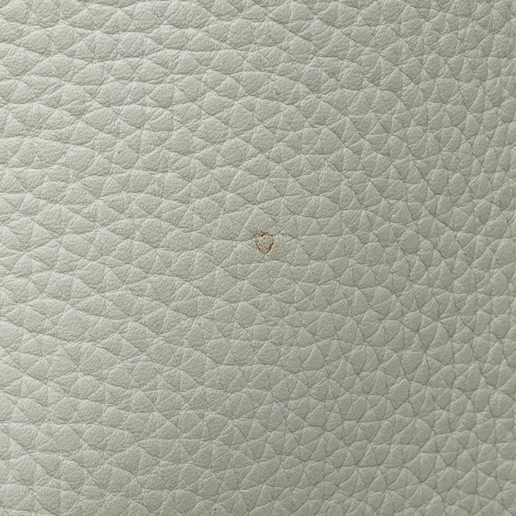Celine Calfskin Phantom Luggage Tote (SHF-23576)
