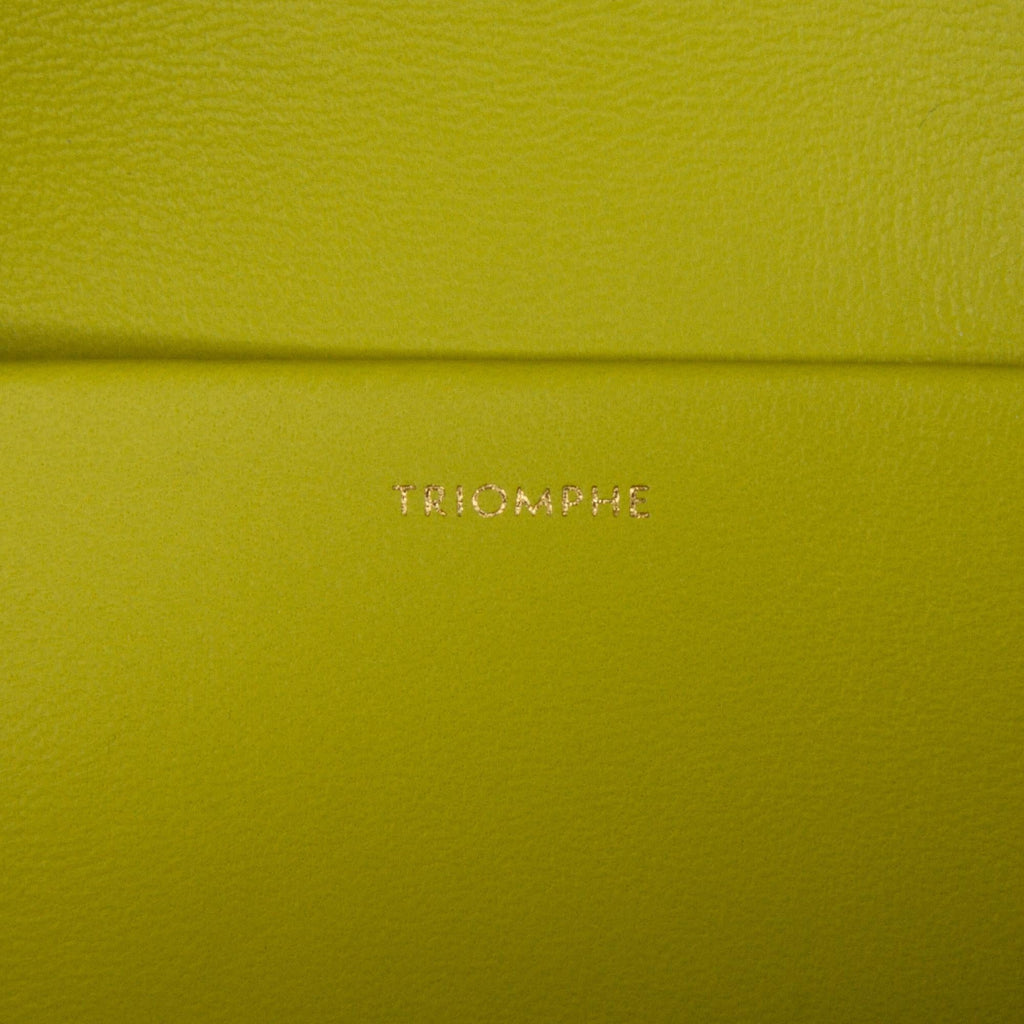 Celine Cuir Triomphe Chain Shoulder Bag (SHG-9jnYiU)