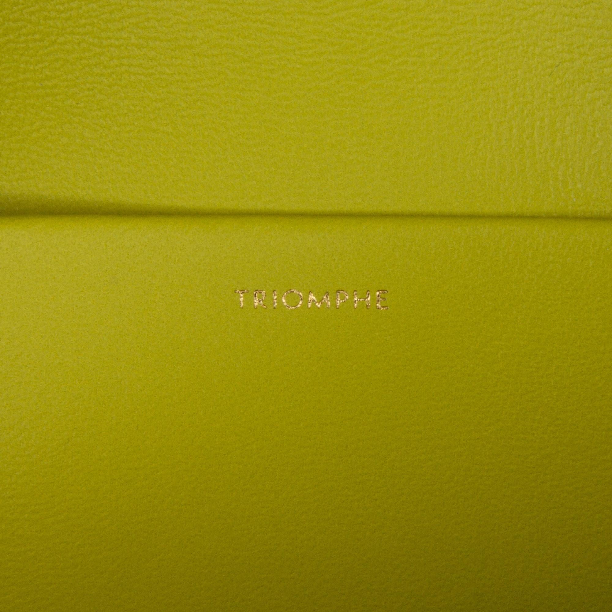 Celine Cuir Triomphe Chain Shoulder Bag (SHG-9jnYiU)