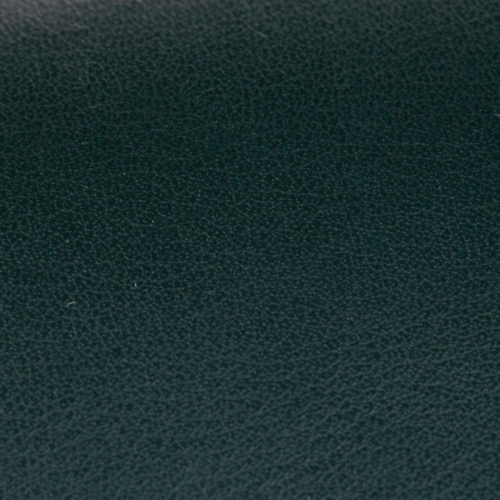 Celine Frame Leather Wallet On Chain (SHG-23361)