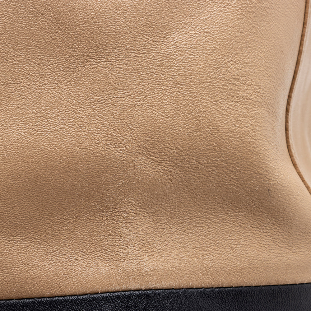 Celine Lambskin Bicolor Cabas Vertical Tote (SHF-15170)