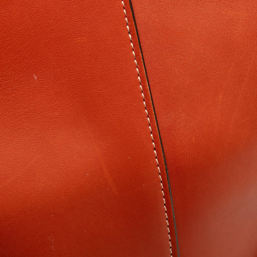 Celine Large Holdall Bucket Bag (SHG-TtpCix)
