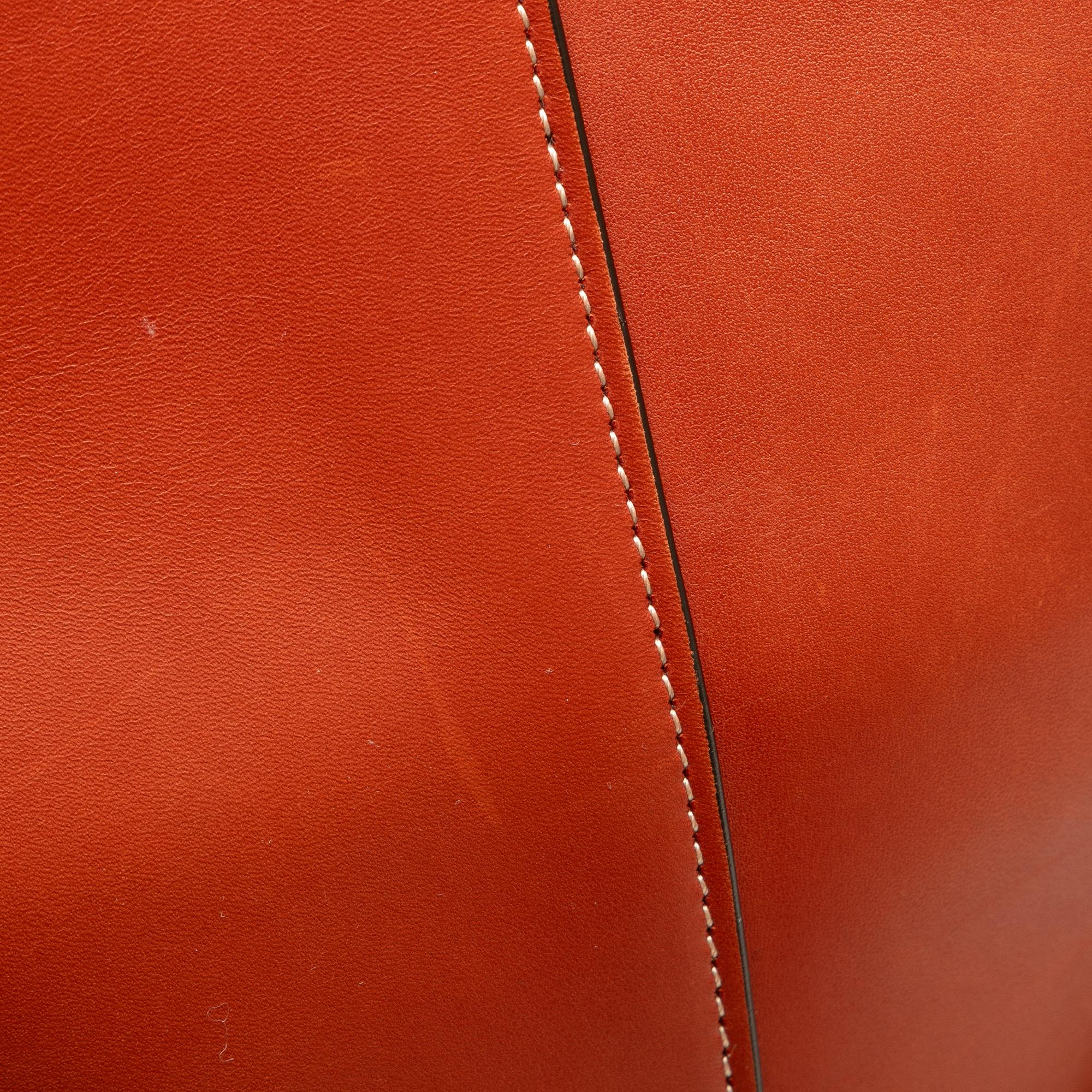 Celine Large Holdall Bucket Bag (SHG-TtpCix)