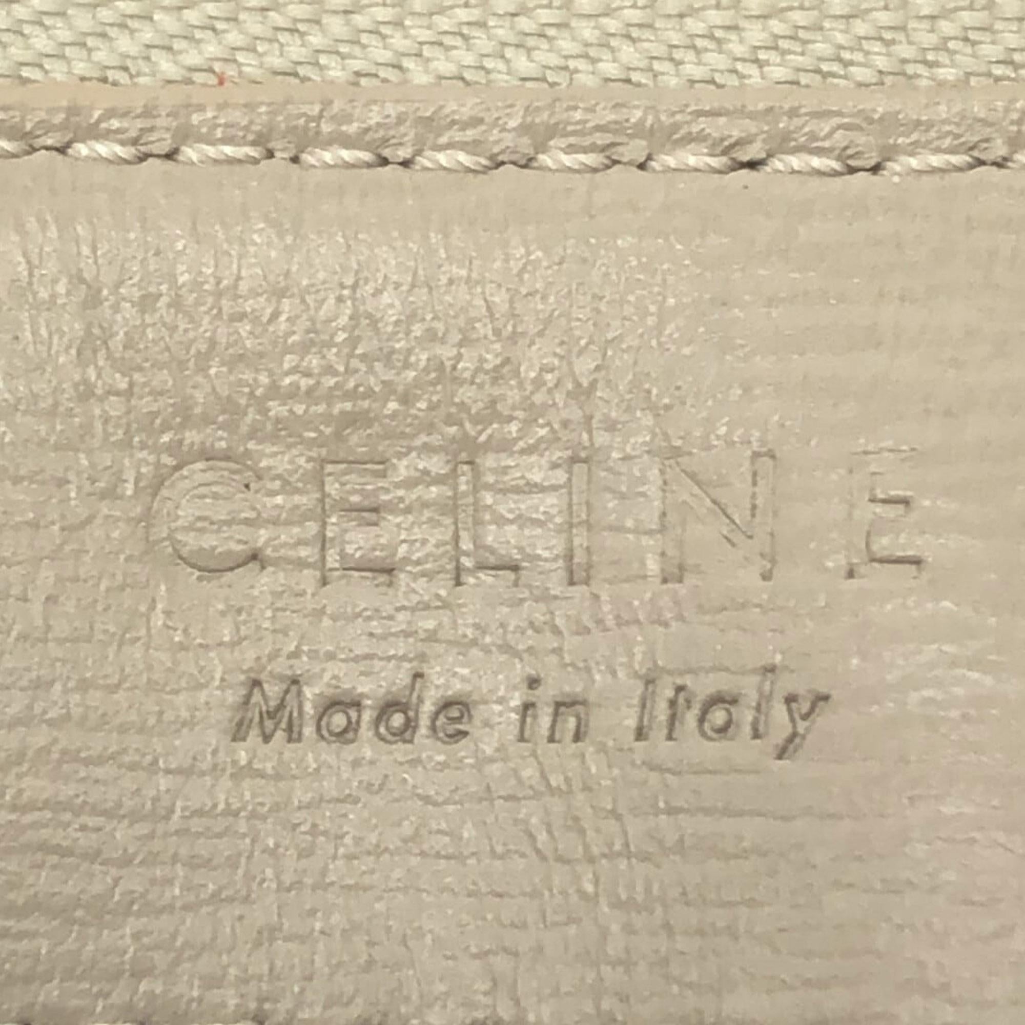 Celine Large Trio Crossbody Bag (SHG-cCxAqU)