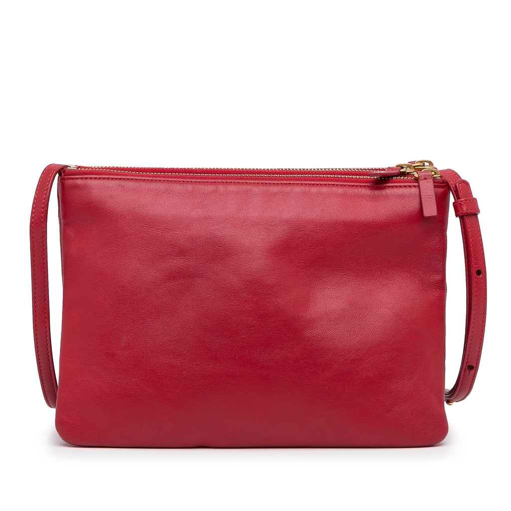 Celine Large Trio Crossbody Bag (SHG-xSW9Nu)