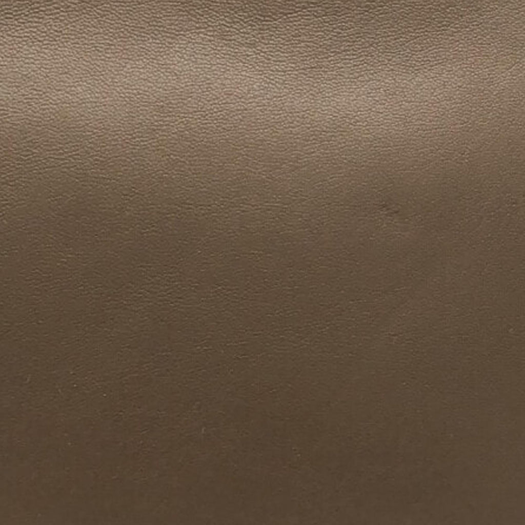 Celine Large Trio Crossbody Bag (SHG-5Vakga)