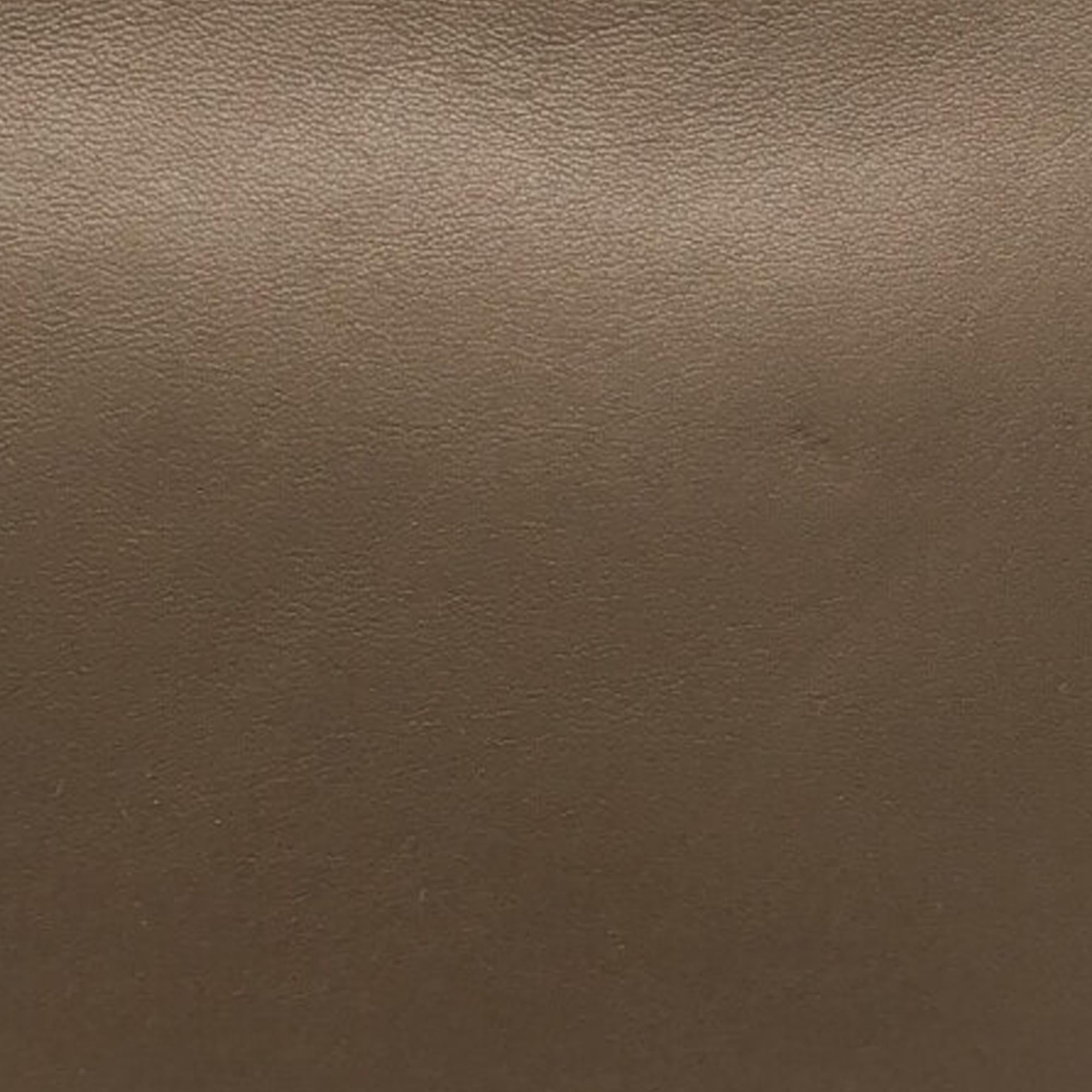 Celine Large Trio Crossbody Bag (SHG-5Vakga)