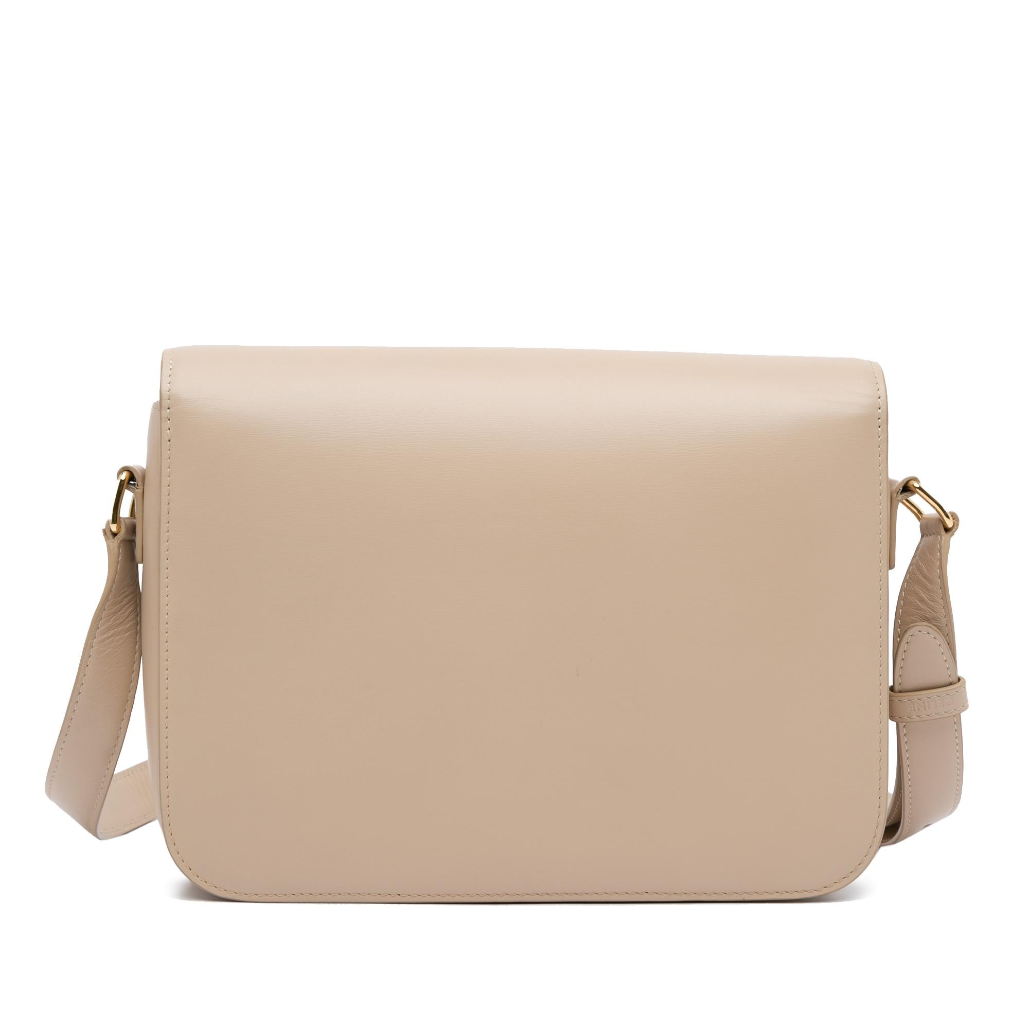 Celine Large Triomphe Crossbody Bag (SHG-wrAIvL)