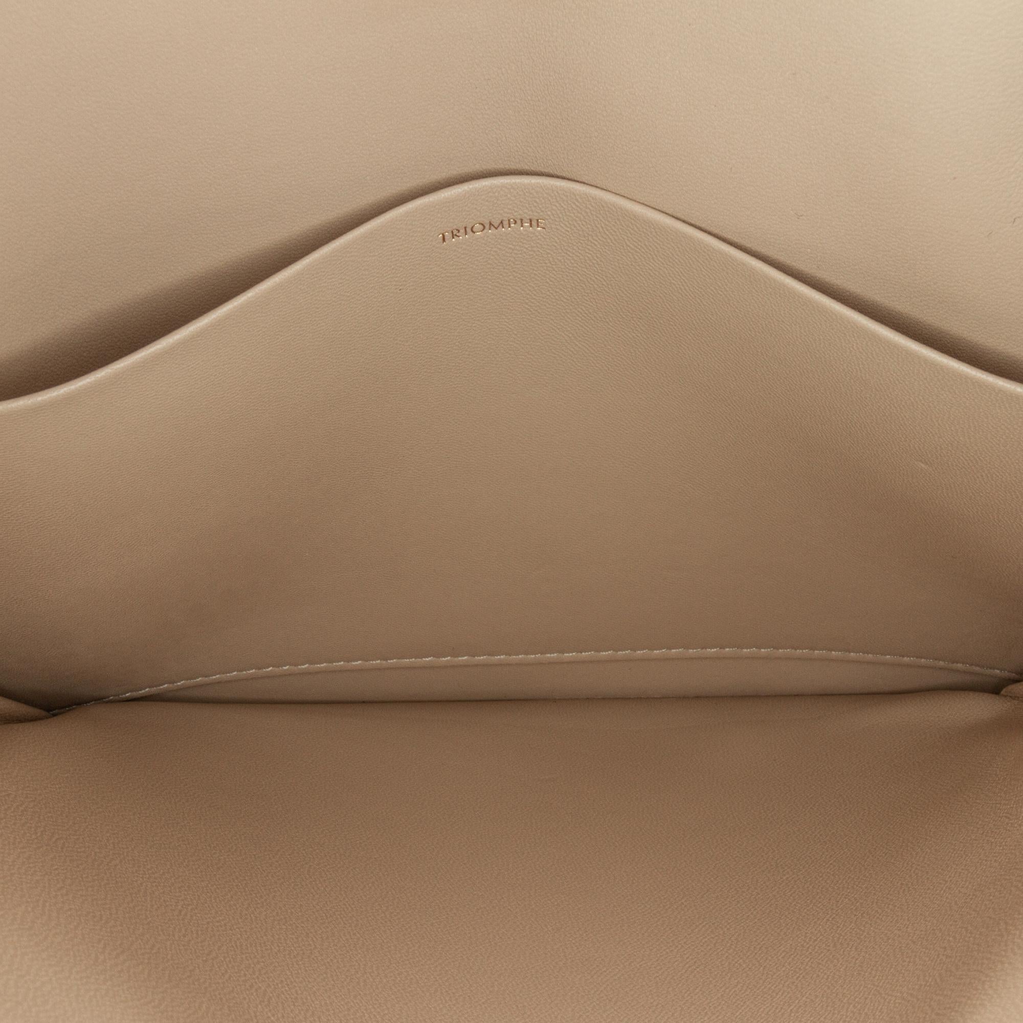 Celine Large Triomphe Crossbody Bag (SHG-wrAIvL)