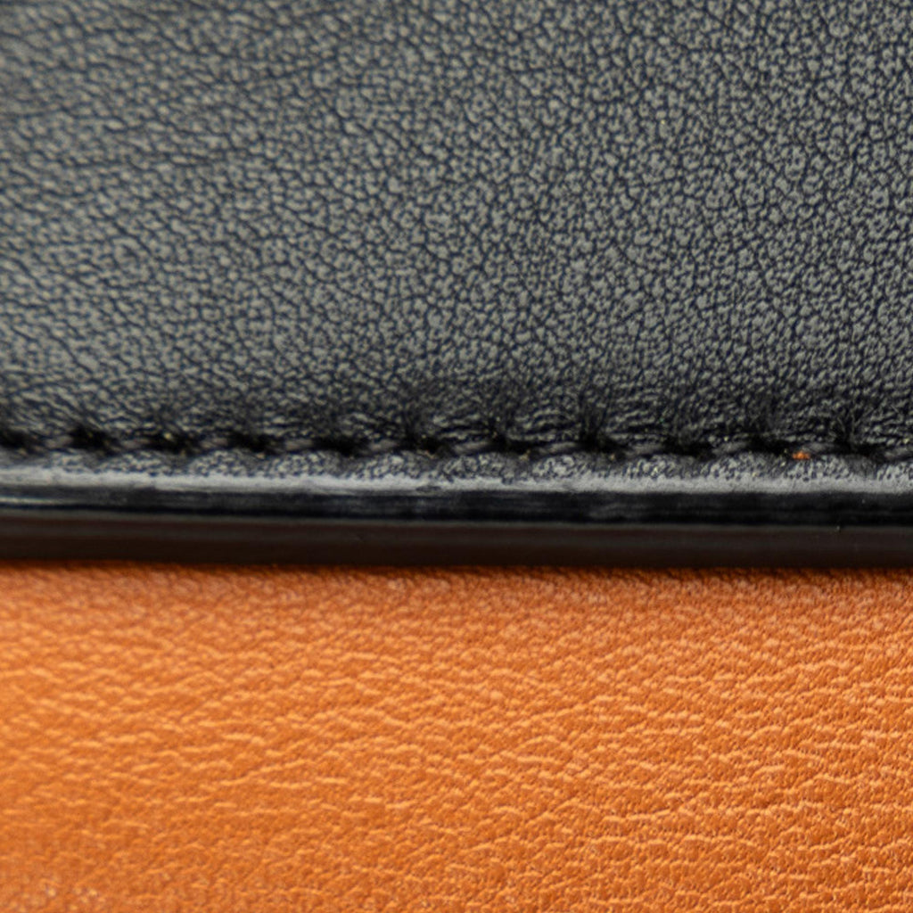 Celine MIni Bicolor Belt Bag (SHG-ZxmwLv)