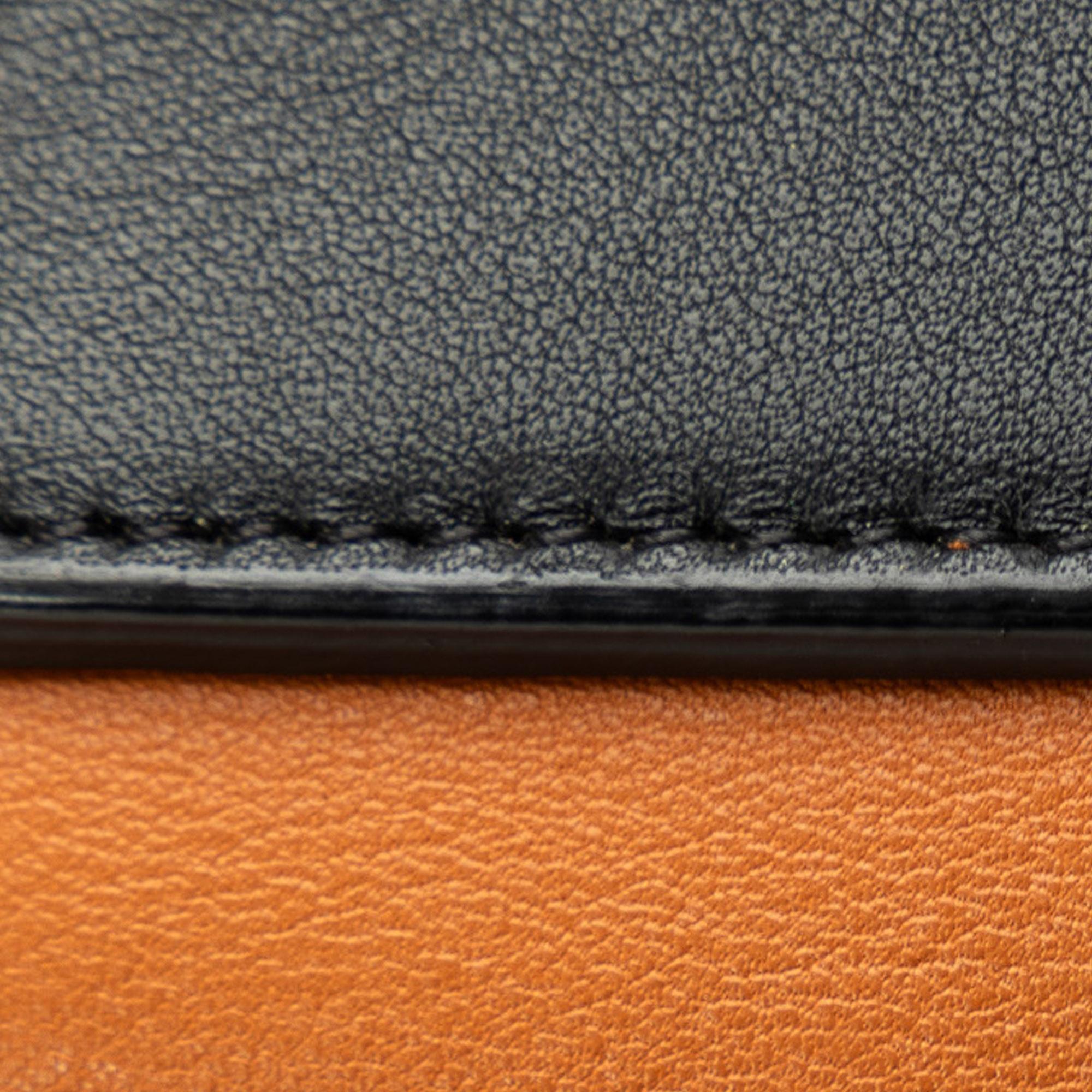 Celine MIni Bicolor Belt Bag (SHG-ZxmwLv)