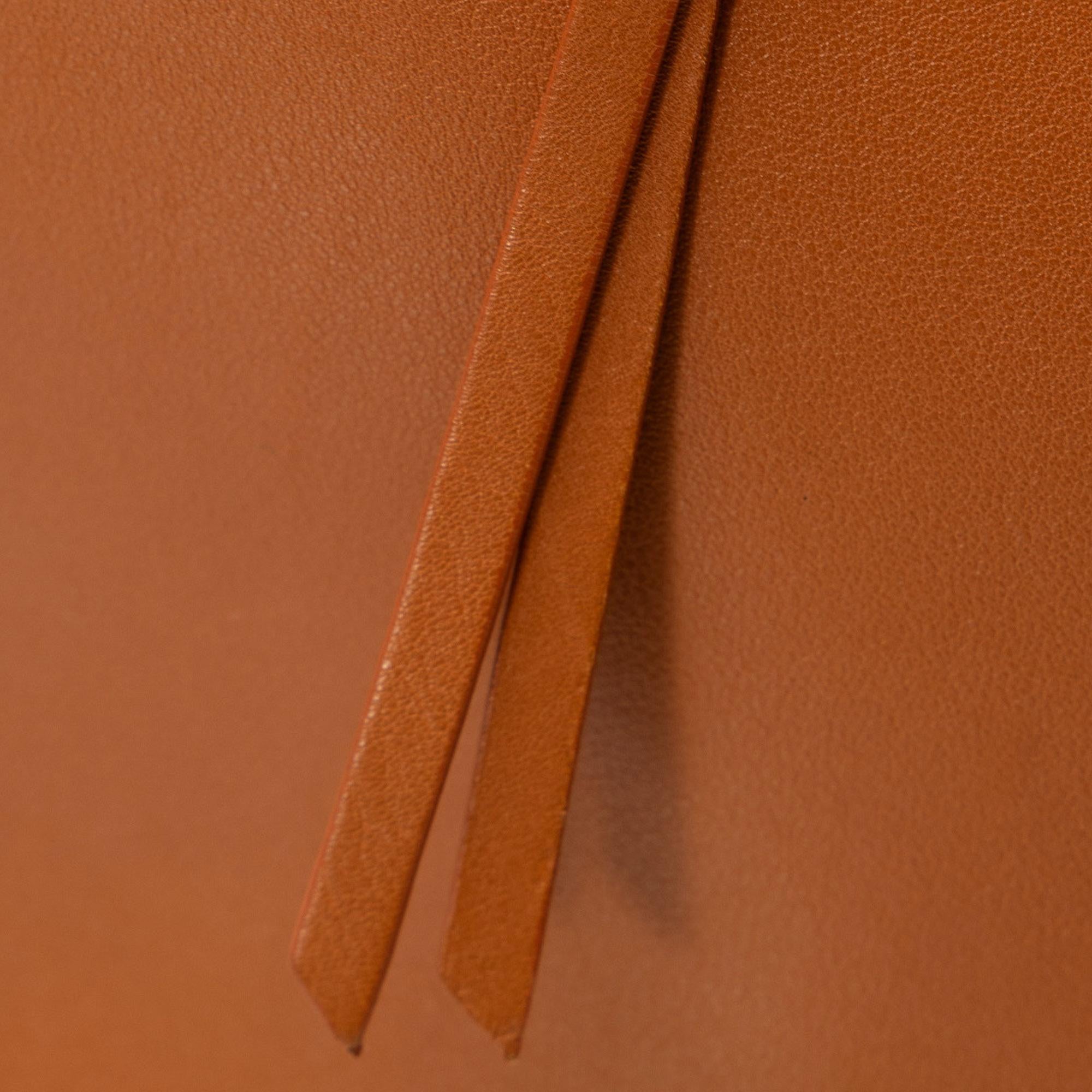 Celine MIni Bicolor Belt Bag (SHG-ZxmwLv)