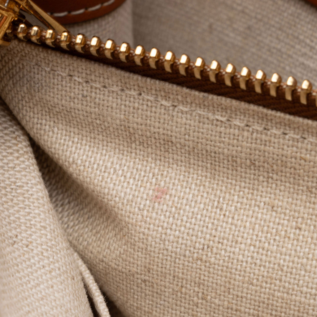 Celine Maillon Triomphe Canvas Vertical Cabas Small Tote (SHF-gxKukX)