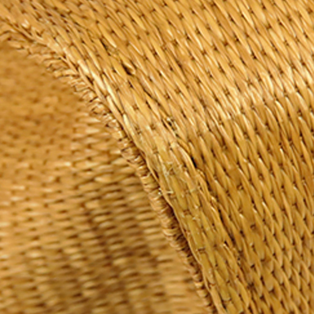 Celine Medium Raffia Tie Tote (SHG-ViQiUy)