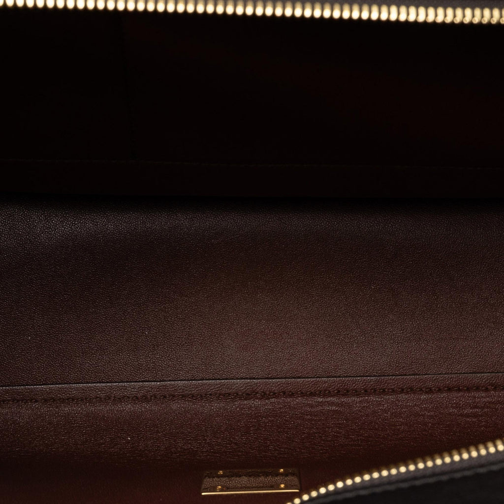 Celine Medium Trapeze Tricolor Satchel (SHG-CdZq7W)