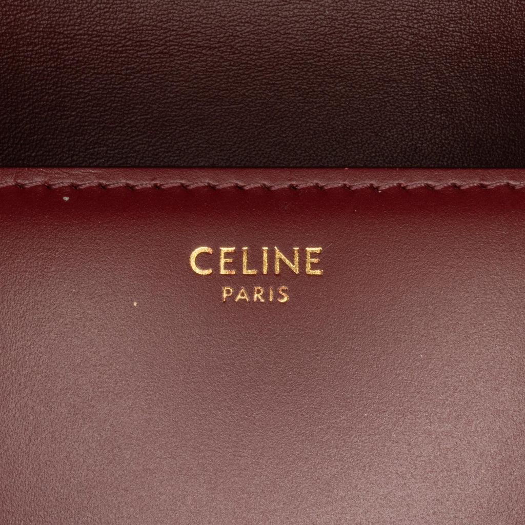 Celine Medium Triomphe Crossbody Bag (SHG-ewHuBe)