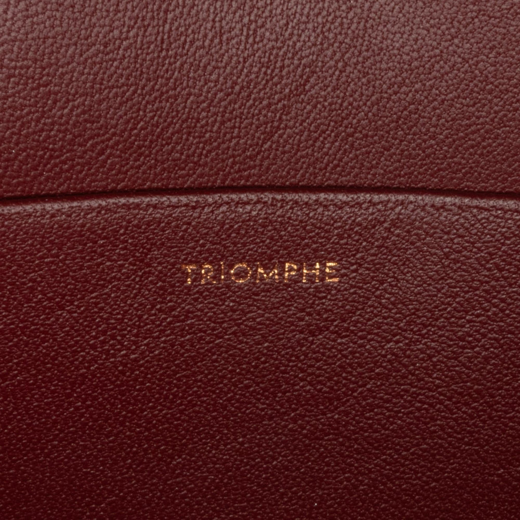 Celine Medium Triomphe Crossbody Bag (SHG-ewHuBe)