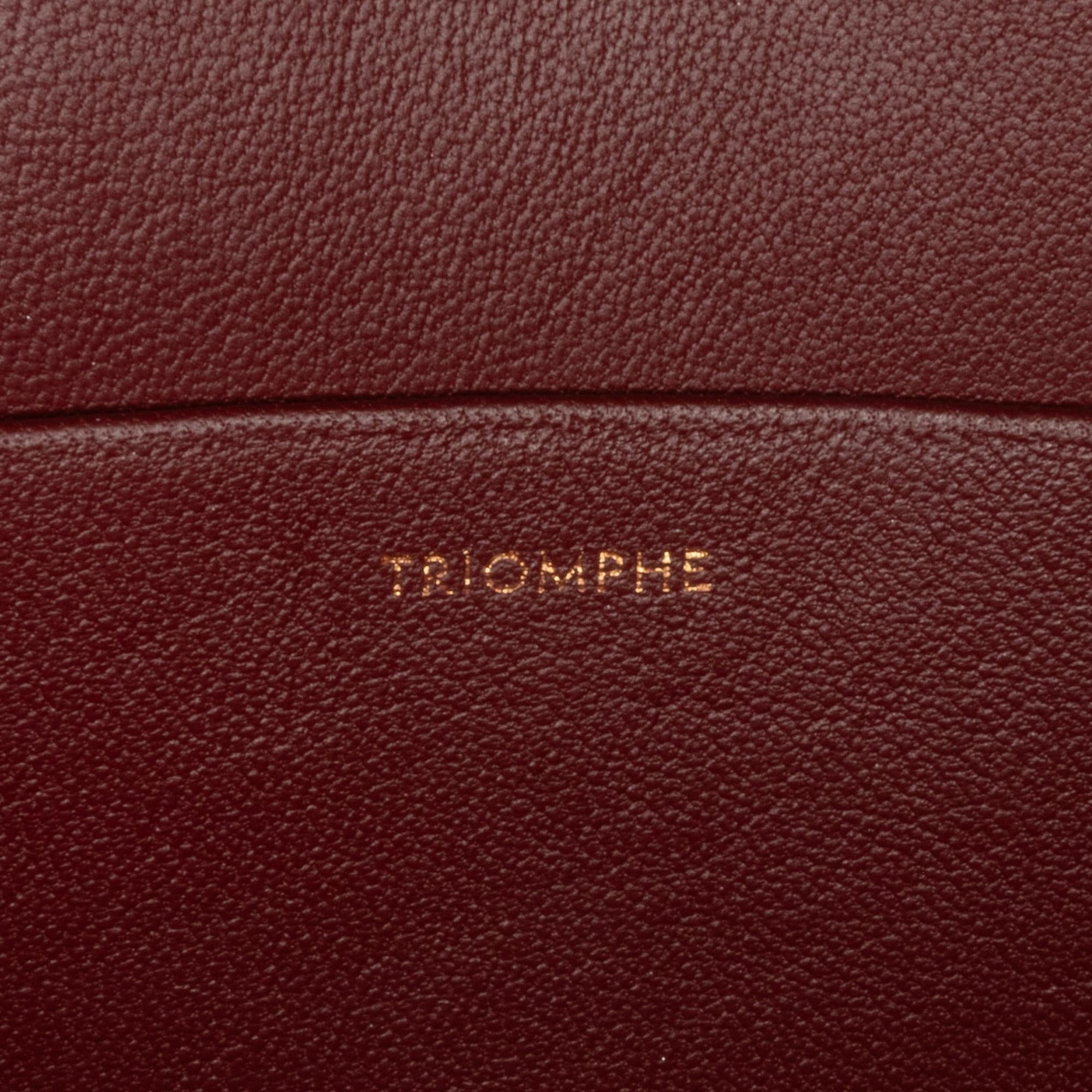 Celine Medium Triomphe Crossbody Bag (SHG-ewHuBe)