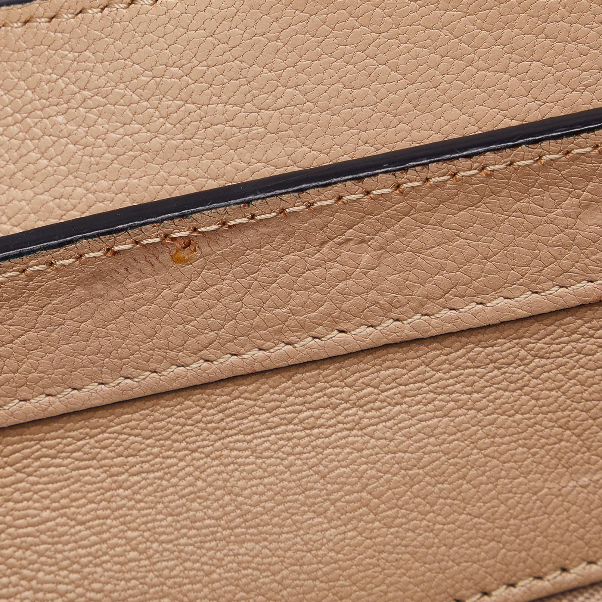Celine Micro Luggage Tote Bicolor (SHG-x7hidE)