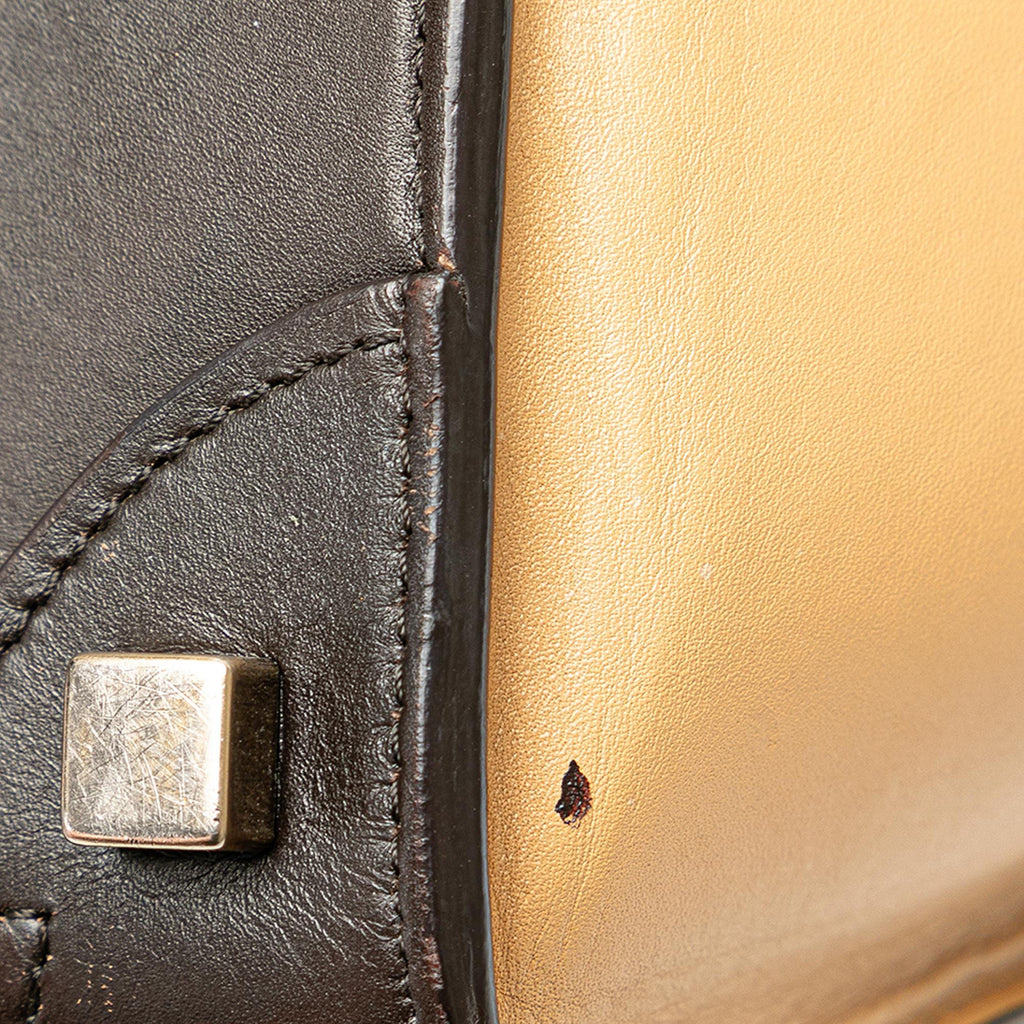 Celine Micro Tricolor Luggage Tote (SHG-thNXmm)
