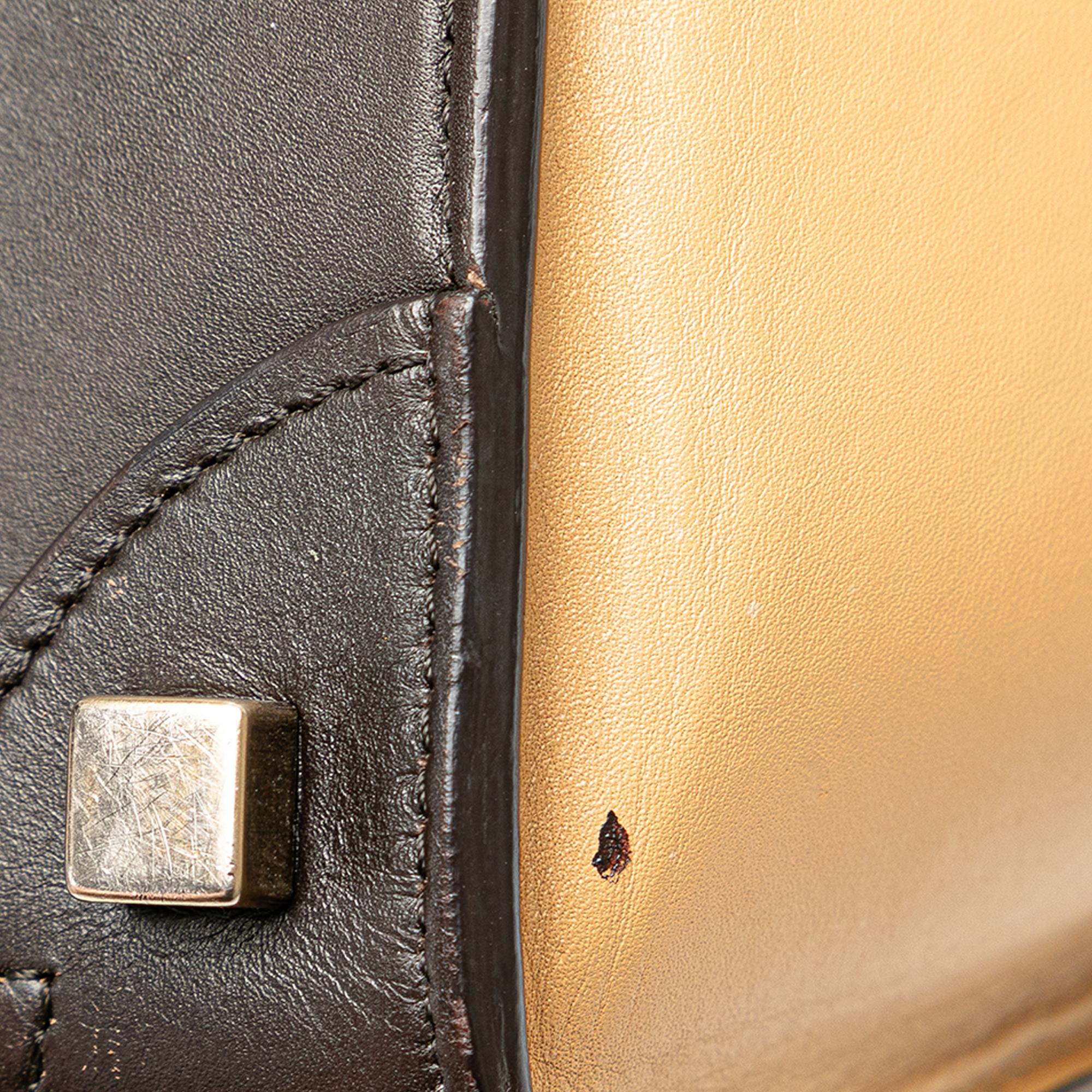 Celine Micro Tricolor Luggage Tote (SHG-thNXmm)