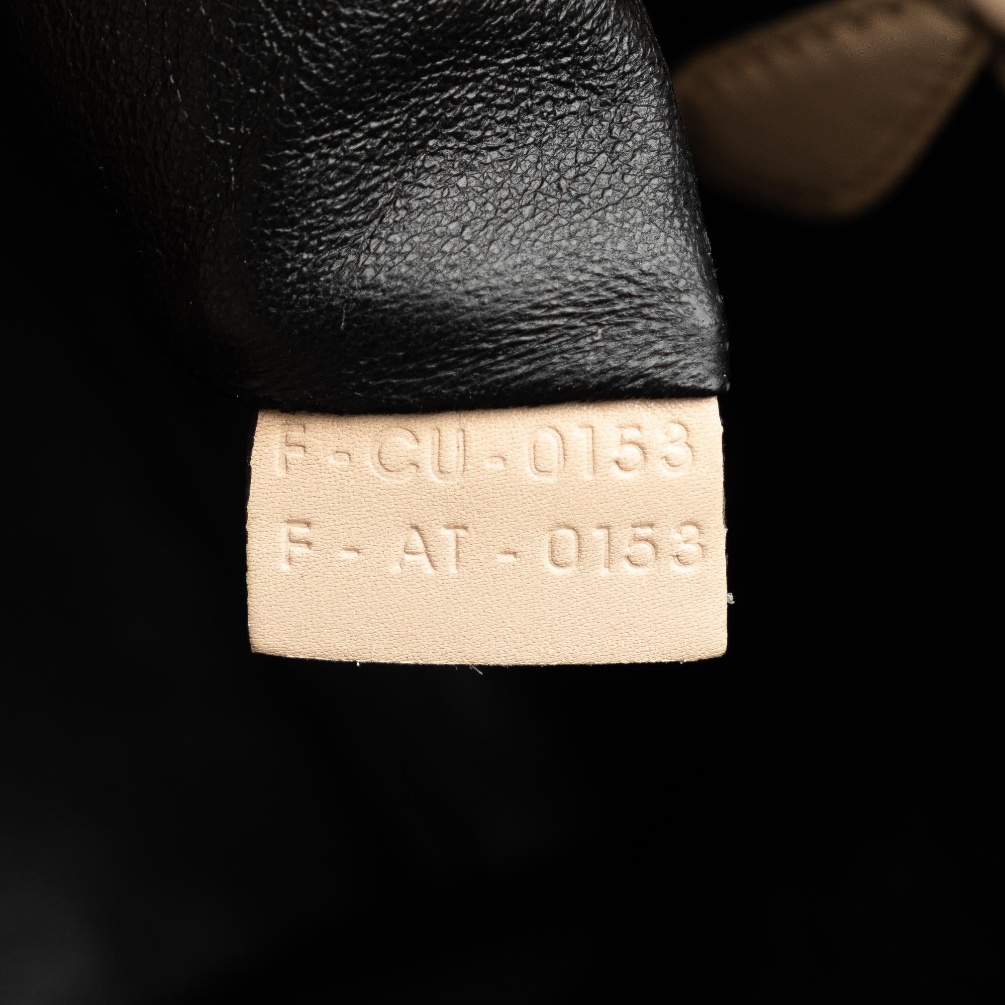 Celine Mini Bicolor Luggage Tote (SHG-wiNeoe)