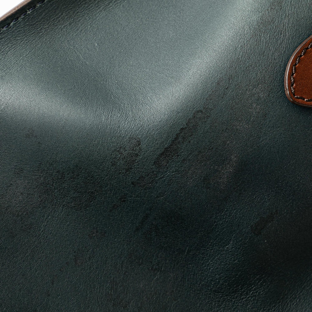 Celine Mini Bicolor Luggage Tote (SHG-mEYrYF)