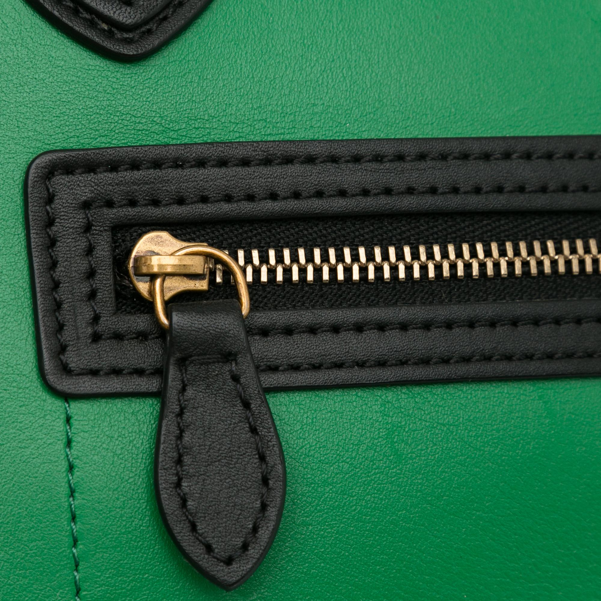 Celine Nano Bicolor Luggage (SHG-FsvhFg)