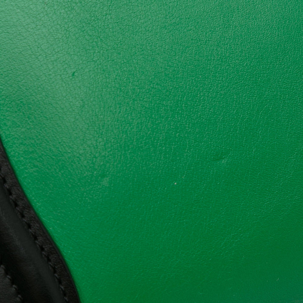 Celine Nano Bicolor Luggage (SHG-FsvhFg)