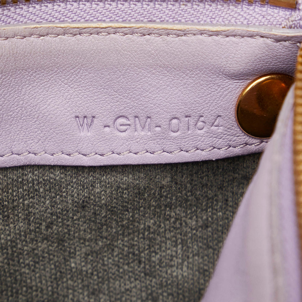 Celine Small Trio Crossbody Bag (SHG-b4b2sF)