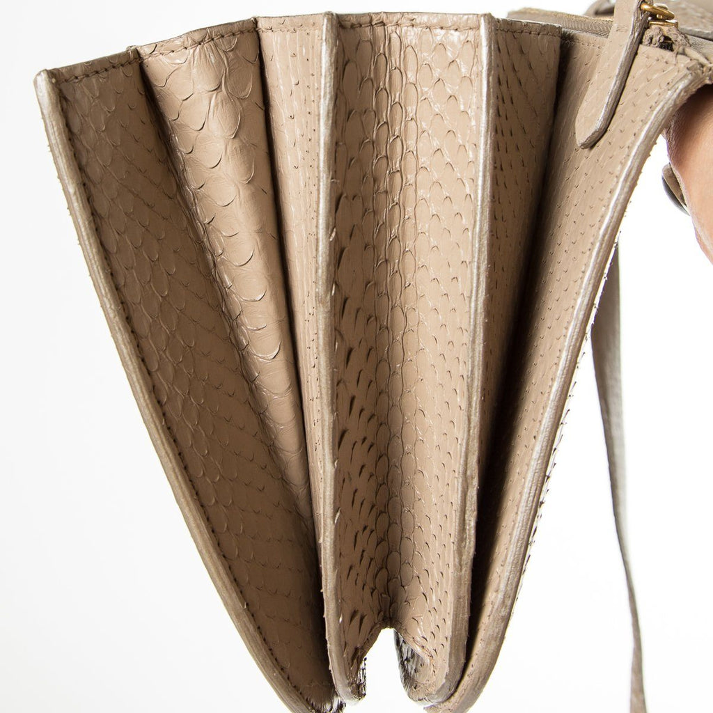 Celine Tan Python Classic Box Crossbody