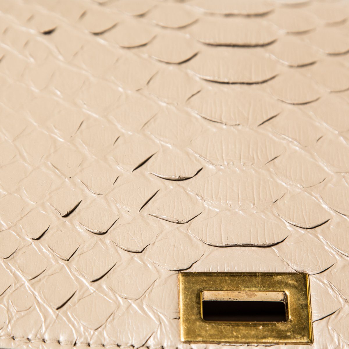 Celine Tan Python Classic Box Crossbody