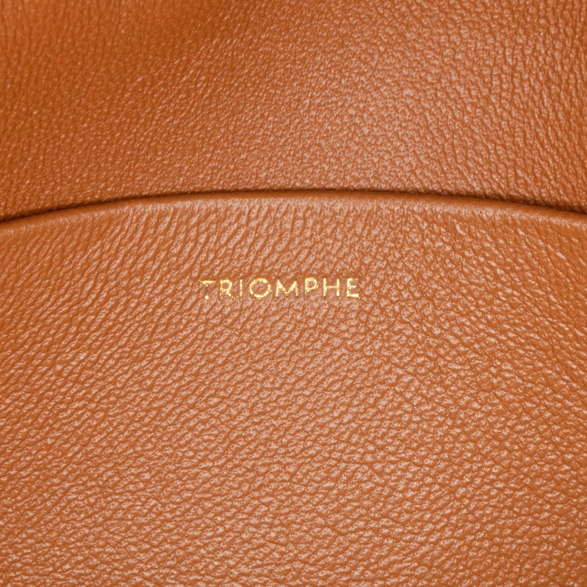 Celine Teen Canvas Triomphe (SHG-sdwxQ4)